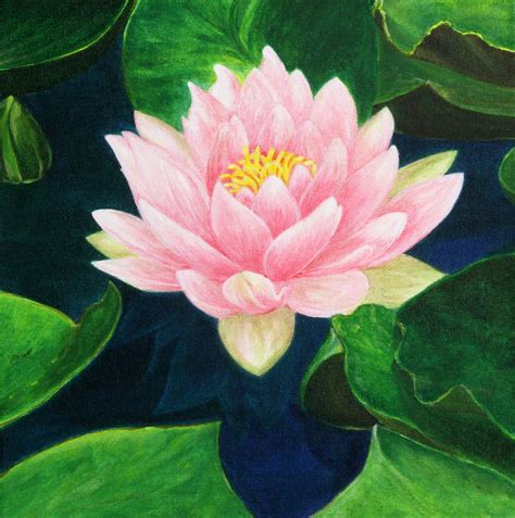 Lotus Flower By Esther Besnier Acrylic On Canvas Lotus Flower Art