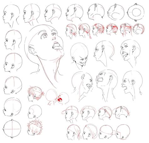 Head Perspective Drawing Reference Drawings Of Love