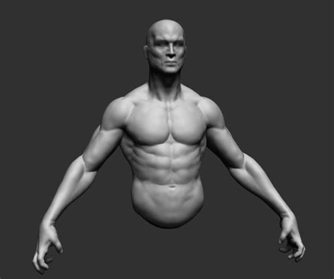Male Head Base Anatomy D Model Obj Ztl Anatomy Sculpture Zbrush My