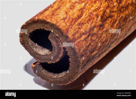 A tempting macro photo capturing the raw and doughy details of a