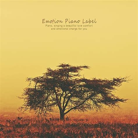 The Place Where Love Has Left Piano With Faint Sensitivity Various Artists
