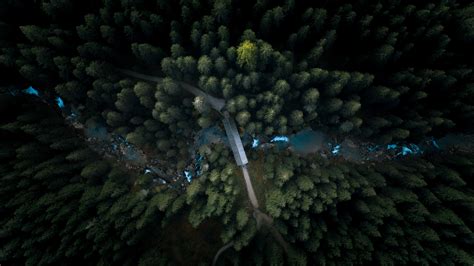 Aerial View Forest 4k Hd Nature 4k Wallpapers Images Backgrounds