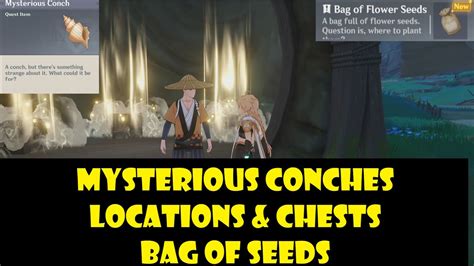 Mysterious Conches Genshin Locations Chests Inazuma Who To Give Quest