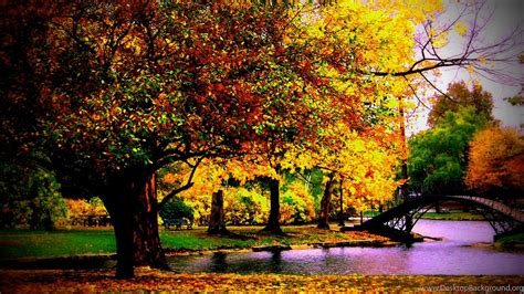 Free Autumn Desktop Backgrounds 1600×1000 High
