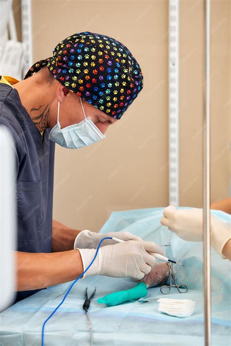Premium Photo | Veterinary medical team performing an operation spaying