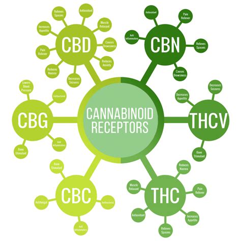 Science Discovery And Development Of Cannabinoid Medicine
