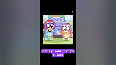 Bluey Bingo Floss Youtube