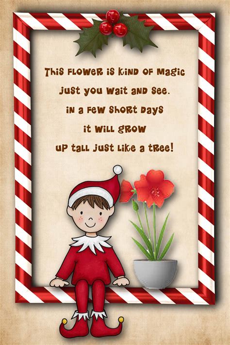 Free Elf On The Shelf Poem To Print Have Your Elf Bring An Amaryllis