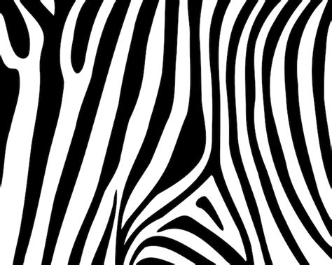 Premium Vector Zebra Print Animal Skin Tiger Stripes Abstract Pattern