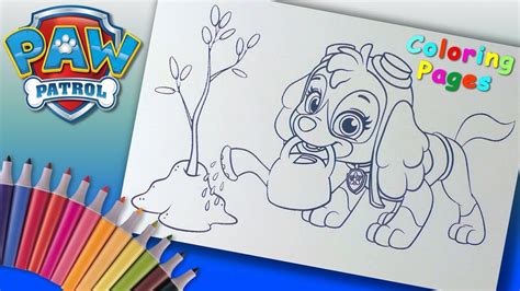 paw patrol colouring paw patrol coloring book skye coloring pages  children youtube