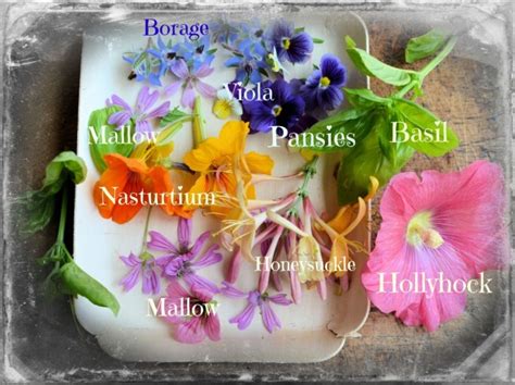 Most herb flowers have a taste that's similar to the leaf, but spicier. 10 Fragrant edible flower recipes - Reader's Digest