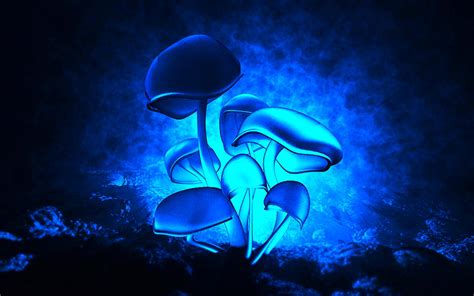 Mushrooms Art Monochrome Hd Desktop Wallpaper