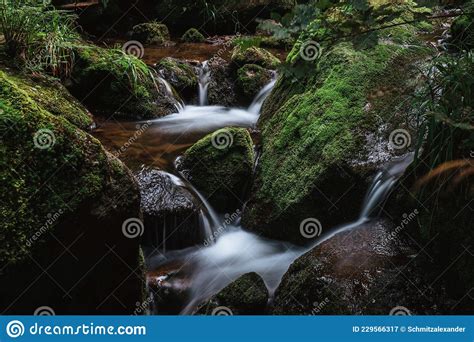 Gertelbach Bwaterfalls Of The Black Forest Schwarzwald Baden