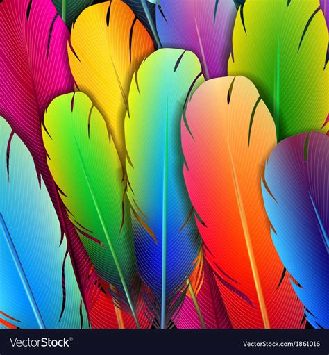 Background With Colorful Feathers Royalty Free Vector Image