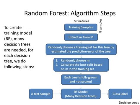 Random Forest Algorithm It Is An Easy To Use Machine Learning By