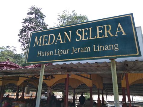 Felidae) at bukit kudung in jeli, kelantan, peninsular malaysia … Destinasi percutian budget di Kelantan