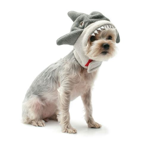 Shark Dog Hat By Dogo With Same Day Shipping Baxterboo