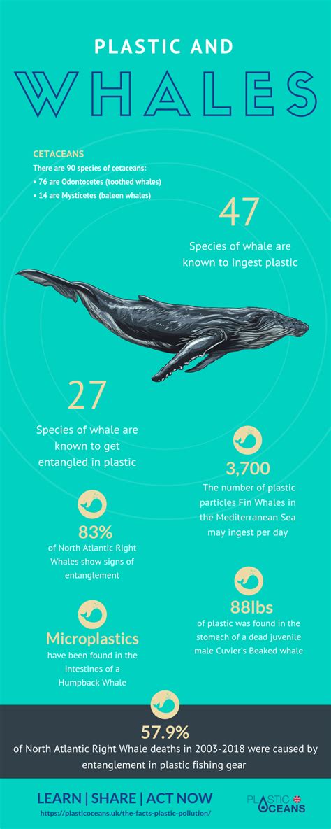The Facts On Plastic Pollution Plastic Oceans Uk