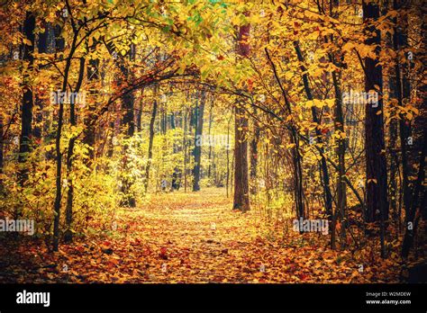 Pathway Road Hi Res Stock Photography And Images Alamy