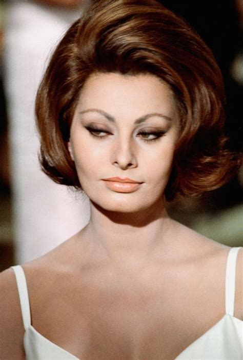 Sophia Loren Early 1960s Sophia Loren Sofia Loren Sophia Loren