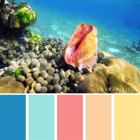 25 Summer Color Palettes Summer Color Palettes Beach Color Palettes