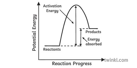 Endothermic Reaction Graph Diagram Science Secondary Bw Rgb Illustration