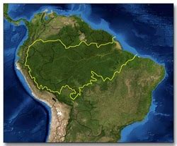 These latitudes correspond to the axial tilt of the earth. Amazon Rainforest