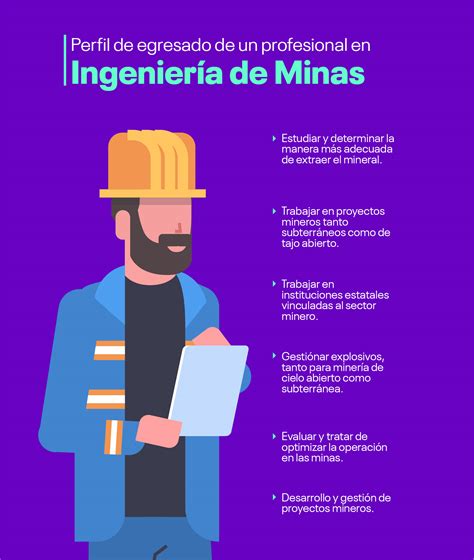 Qué es lo que hace un profesional en Ingeniería de Minas en el Perú