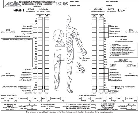 Spinal Cord Injuries Musculoskeletal Key