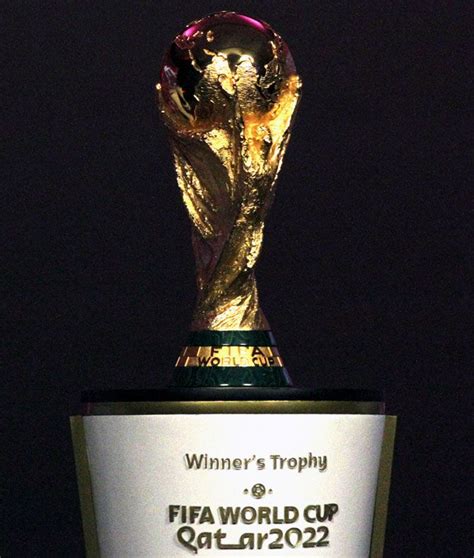 Cozybedin 2022 Fifa World Cup Qatar Replica Trophy Own A Collectible