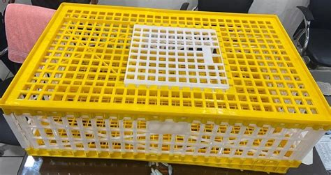 Chicken Transport Box Poultry Carrier Crate Latest Price Manufacturers And Suppliers