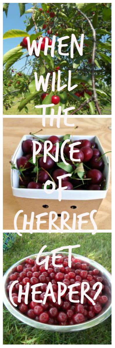 When Will The Prices Of Cherries Get Cheaper Eat Like No One Else Cheap Eats Eat Food