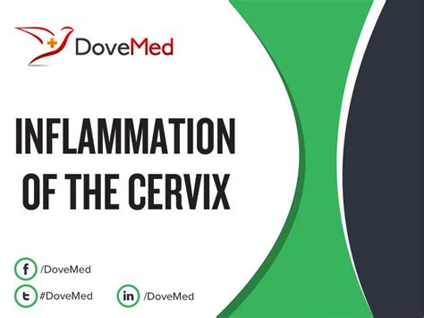 Inflammation Of The Cervix