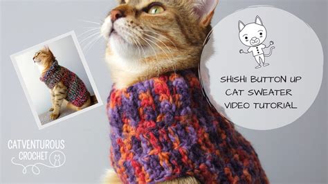 Cat Sweater Crochet Pattern Cat Clothes Pattern Crochet Angora Cats