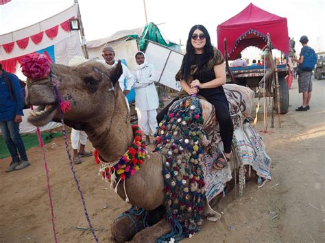 The Ultimate Guide To The Pushkar Camel Fair Third Eye Traveller