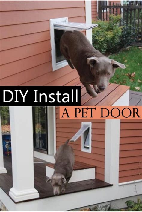 18 Easy Diy Dog Door Ideas And Plans Diyncrafty