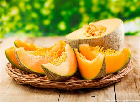 Interesting Facts About Cantaloupe Just Fun Facts