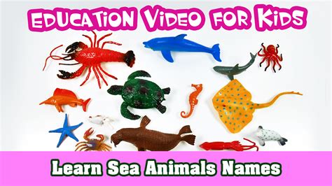 Watch Learn Sea Animals Names Education Video For Kids Prime Video