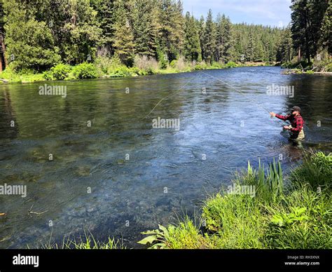 Metolius River Oregon Fly Fishing Trip With Fisherman Casting Stock