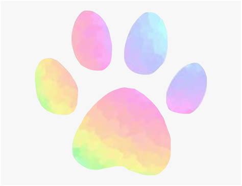 Download High Quality Paw Prints Clip Art Rainbow Transparent Png