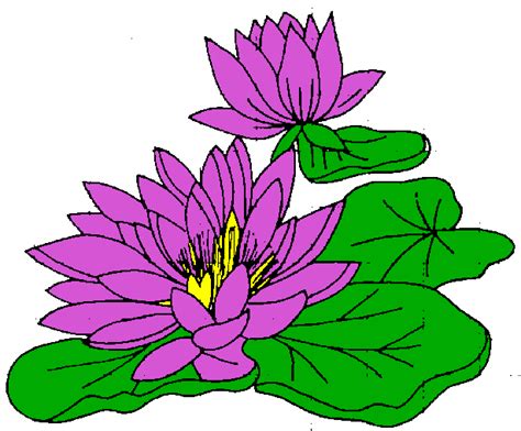 Lily Pad Flower Clip Art Clipart Best