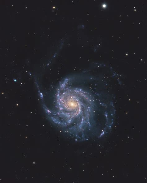 M101 The Pinwheel Galaxy Deep Sky Astrophotography