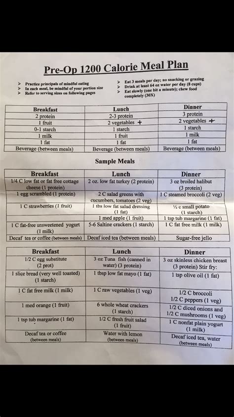 Printable Dr Now Diet Sheet