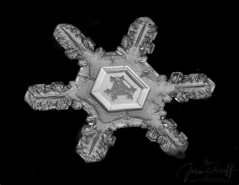 Photographer Seeks Perfectly Formed Snowflakes For Magical Photo Series