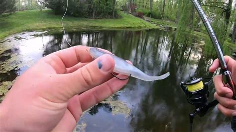 One Of The Best Pond Bass Fishing Baits Out There Youtube