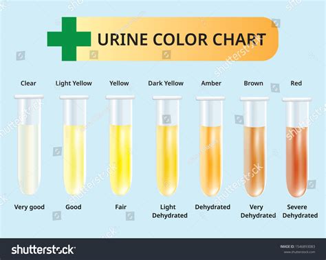 Urine Color Chart Urine Test Tubes Vector De Stoc Royalty Free