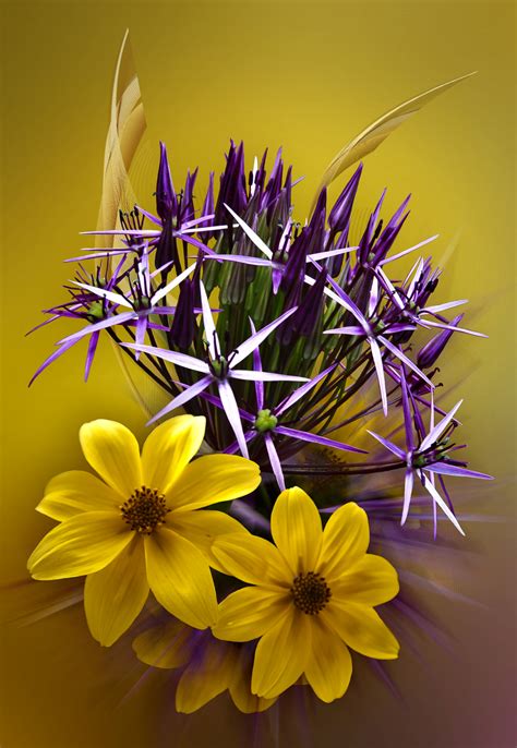 Yellow And Purple Flowers By Avmurray