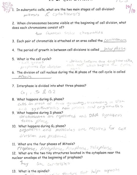 Displaying 8 worksheets for cell division gizmos answer key. Cell Coloring Worksheet Pdf Cell Biology Worksheet High School in 2020 | Biology worksheet, Cell ...