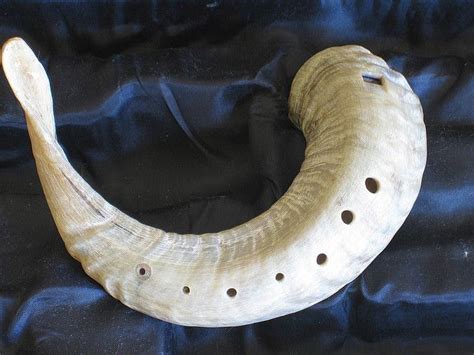 Gemshorn Ocarina Instrument Horn Instruments Medieval Music