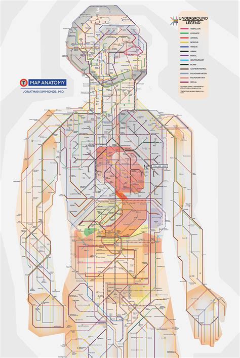 Poster Map Of Entire Human Body A Schematic Done In The Etsy